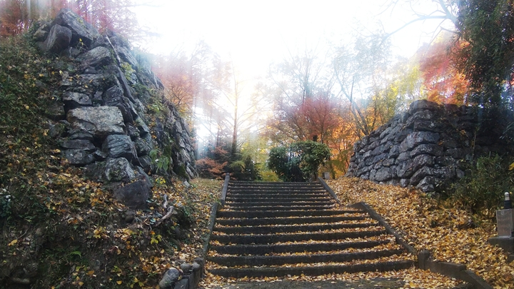 Thumbnail of related posts 100